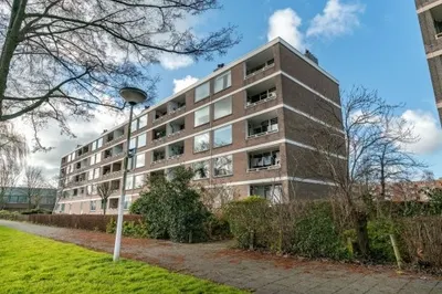 Paramaribostraat , 2315VD, Leiden, Zuid-Holland