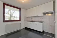 Sphinxlunet, Maastricht