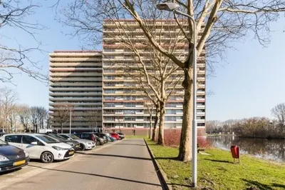 Oost Dorsch , 1504BH, Zaandam, Noord-Holland