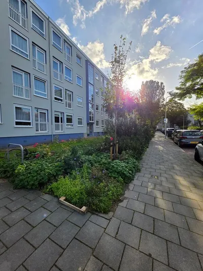 Hellendoornstraat , 2541AT, Den Haag, Zuid-Holland