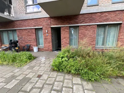 Het Zicht , 2543AJ, Den Haag, Zuid-Holland
