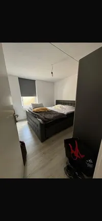 Fazant, Veldhoven
