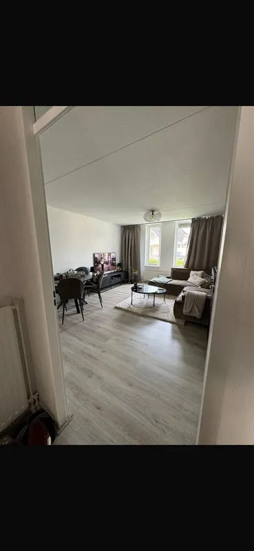 Fazant , 5508LN, Veldhoven, Noord-Brabant