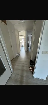 Fazant, Veldhoven