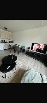 Fazant, Veldhoven