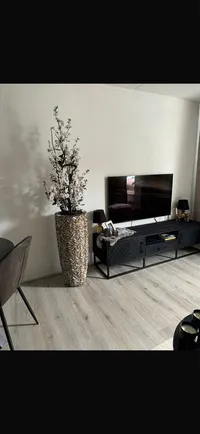 Fazant, Veldhoven
