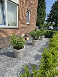 Hertog Willemstraat, Tiel