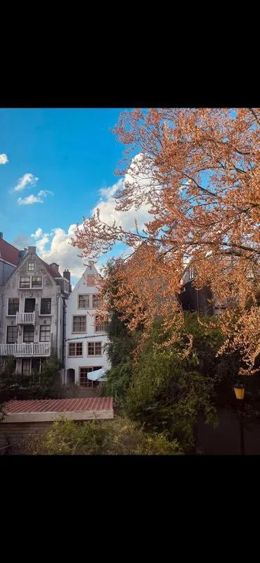Appartement Tweede Laurierdwarsstraat, Amsterdam