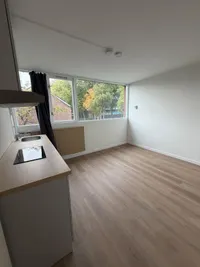 Briljantstraat, Groningen