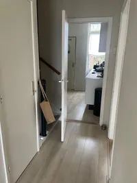 Lijsterbeslaan, Groningen