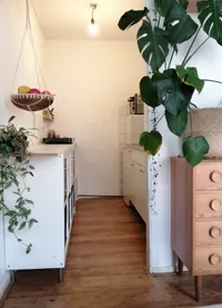Van Speijkstraat, Den Haag