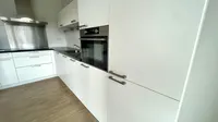 Turfhaven, Den Haag