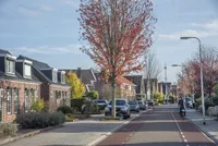 Dannenberg 70, Rijssen