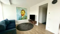 Turfhaven, Den Haag