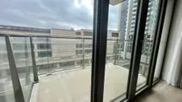 Turfhaven, Den Haag