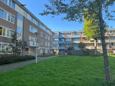 Overslaghof , 1034RV, Amsterdam, Noord-Holland
