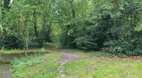 Surinamelaan, Amersfoort