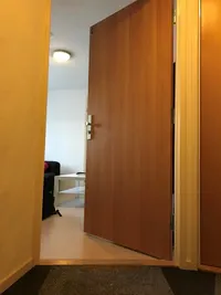 Ranonkelstraat, Eindhoven