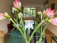 Rozentuin 59, Voorburg