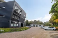 Haven, Lisse