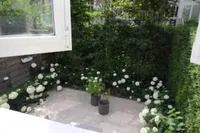 Willem Barentszstraat, Utrecht