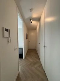 Gedempte Zalmhaven, Rotterdam