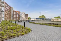 Omegaplantsoen, Leiden