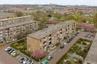 Lavendelhof 14, Noordwijk