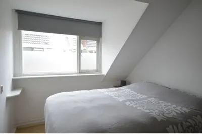 Breitnerlaan , 2596GV, Den Haag, Zuid-Holland