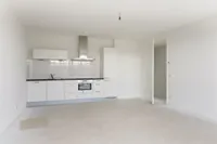 Turfhaven, Den Haag